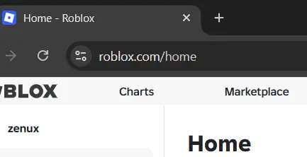 Usuario protegiendo su cuenta de Roblox contra phishing